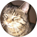 Rebecca R. profile picture